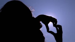 stock-footage-young-girl-making-love-heart-sign-with-her-hands-at-sunset-girl-shapes-heart-with-her-hands-over